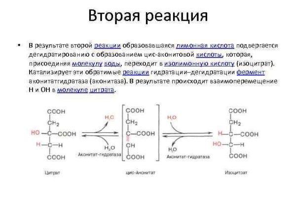 Ссылка на кракен официальный